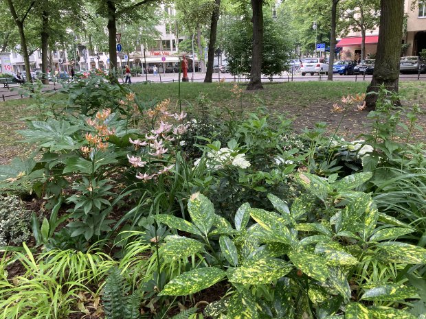 Berlin-Wilmersdorf